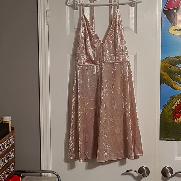 Light Pink Velvet Forever 21 Dress - Picture 1 of 7